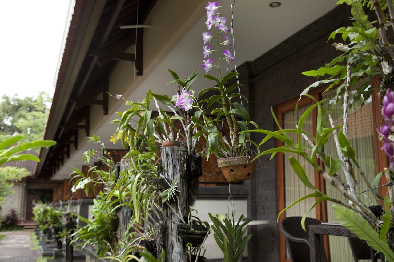 Jepun Bali Hotel Kuta Lombok Exterior foto